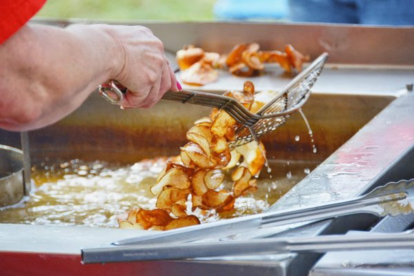 Astuces pour garder un chien au frais pendant l'été