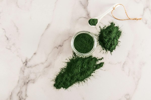 Moule verte : quel dosage pour votre animal de compagnie ?